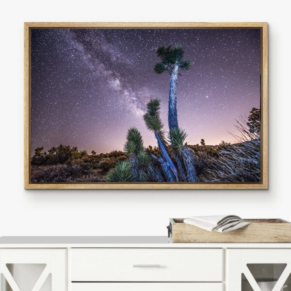 Framed Canvas